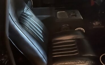 Chevrolet-C-10-1965-Standard-Cab-Pickup-5