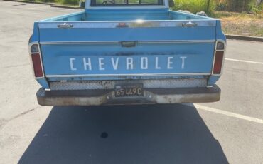 Chevrolet-C-10-1969-9