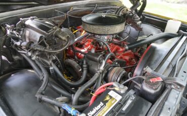 Chevrolet-C-10-1970-Other-8