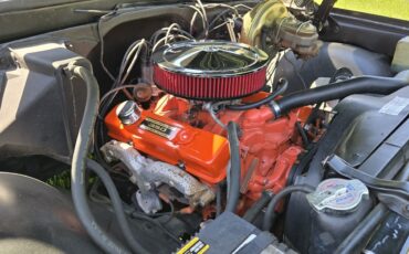 Chevrolet-C-10-1972-9
