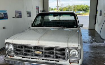 Chevrolet-C-10-1976-1