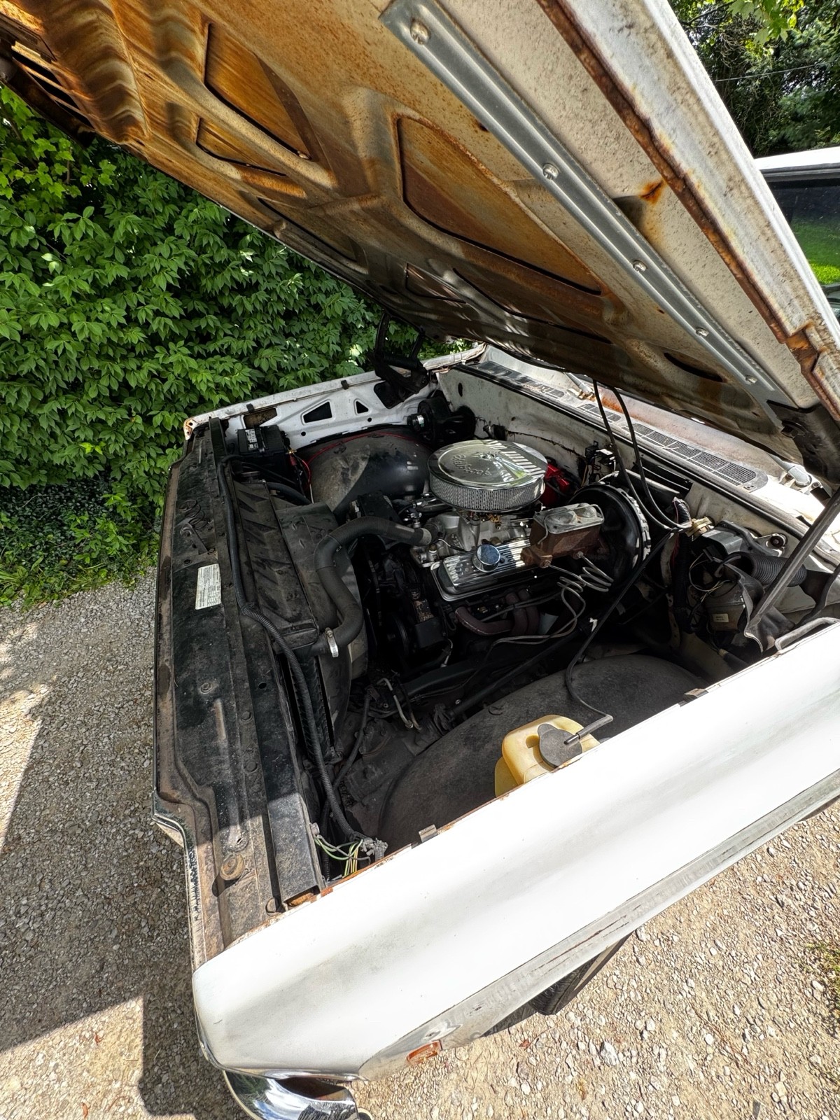 Chevrolet-C-10-1976-10