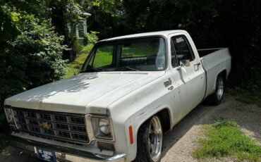 Chevrolet-C-10-1976-2