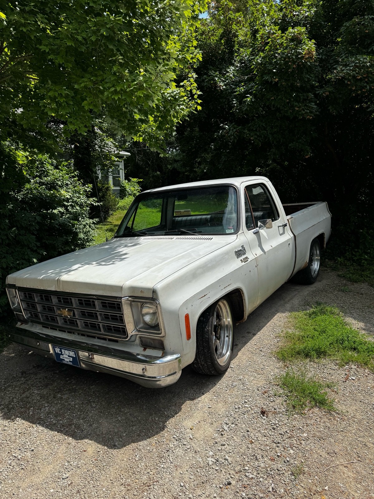 Chevrolet-C-10-1976-2
