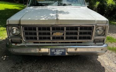 Chevrolet-C-10-1976-3