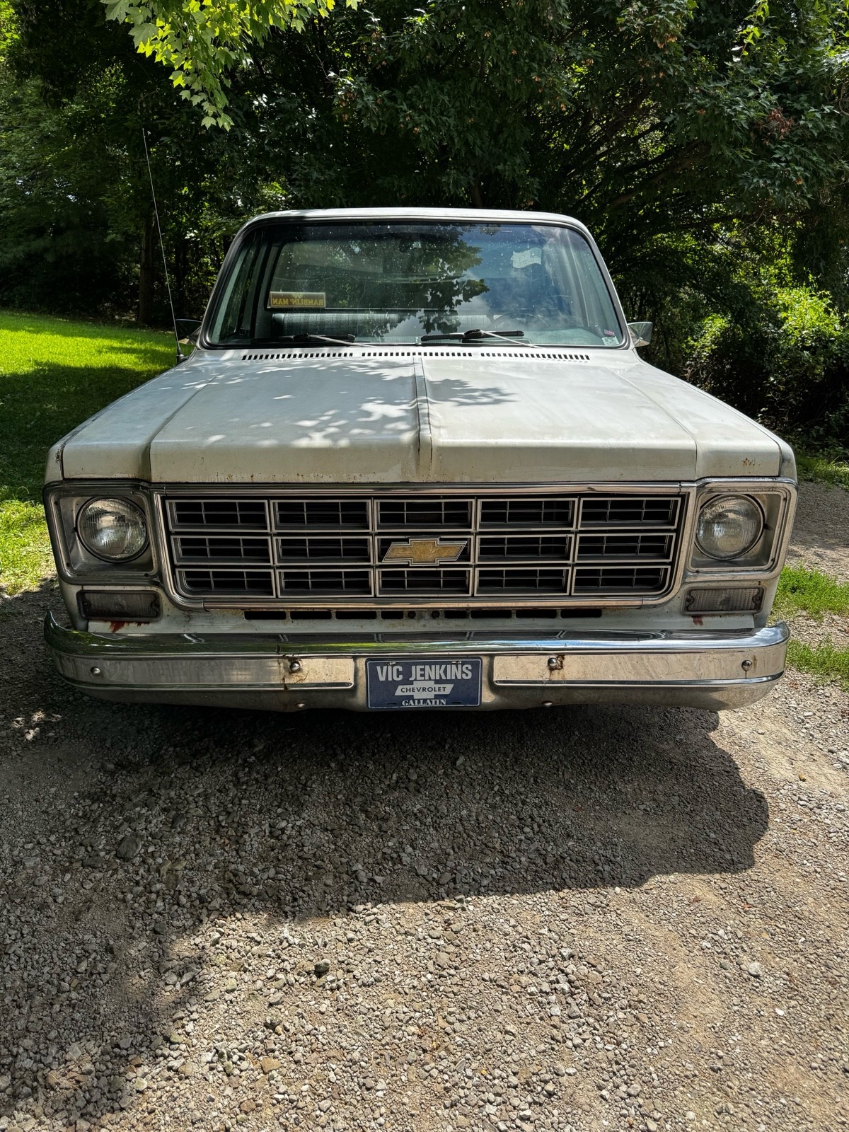 Chevrolet-C-10-1976-3