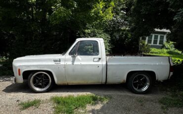 Chevrolet-C-10-1976