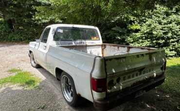 Chevrolet-C-10-1976-4