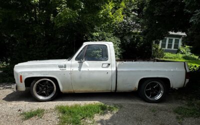 Chevrolet C-10 1976