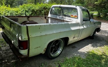 Chevrolet-C-10-1976-5
