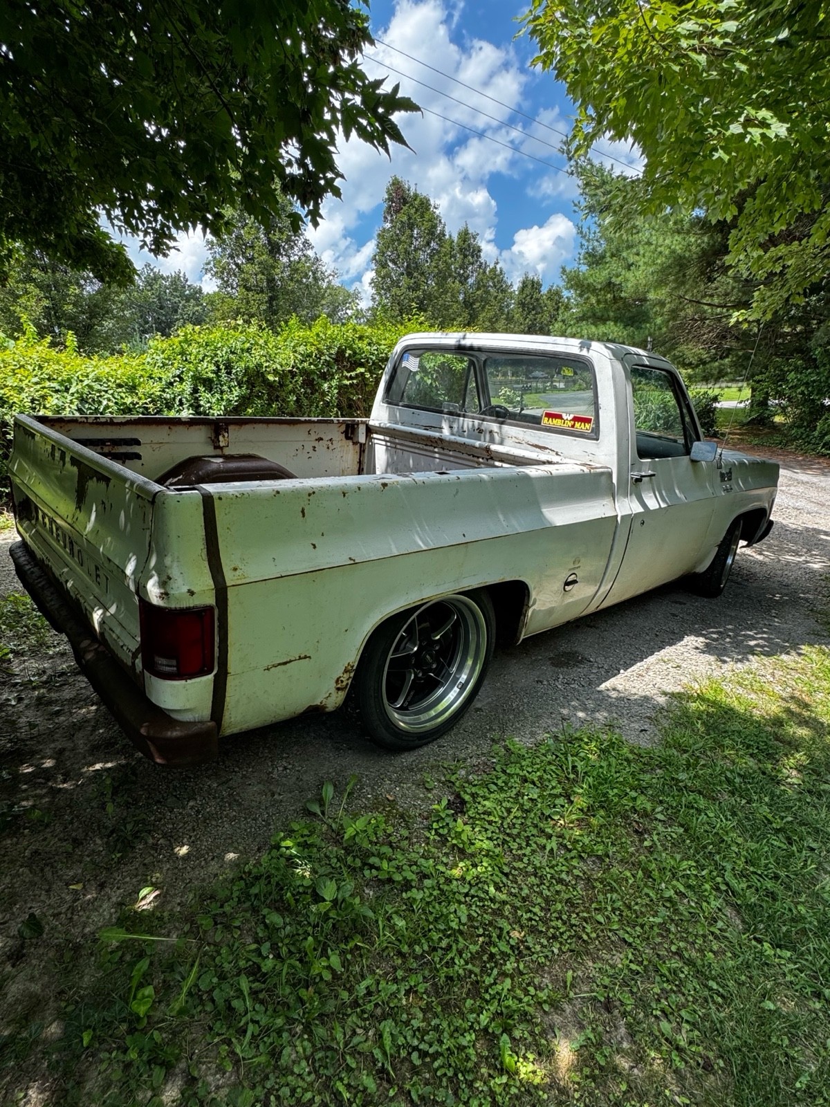 Chevrolet-C-10-1976-5