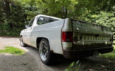 Chevrolet-C-10-1976-6
