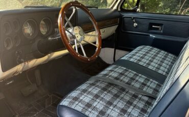Chevrolet-C-10-1976-7