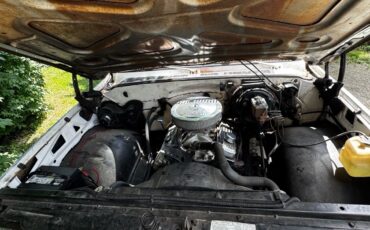 Chevrolet-C-10-1976-9