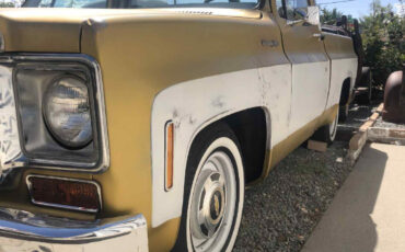Chevrolet-C-10-1976-Standard-Cab-Pickup-1