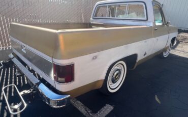 Chevrolet-C-10-1976-Standard-Cab-Pickup-14