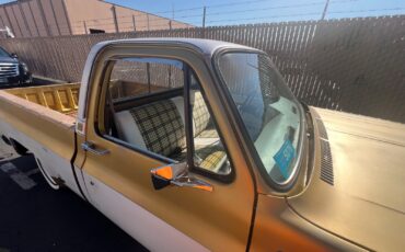 Chevrolet-C-10-1976-Standard-Cab-Pickup-18