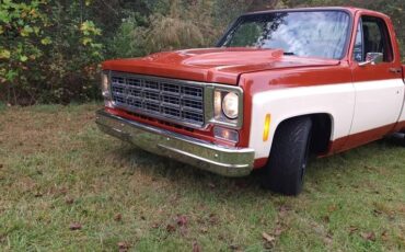 Chevrolet-C-10-1976-Standard-Cab-Pickup-2