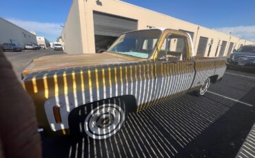 Chevrolet-C-10-1976-Standard-Cab-Pickup-20