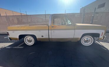 Chevrolet-C-10-1976-Standard-Cab-Pickup-25