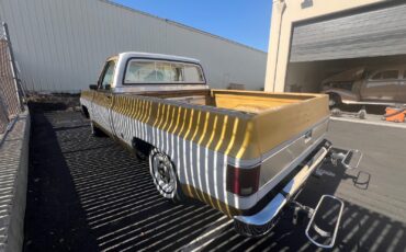 Chevrolet-C-10-1976-Standard-Cab-Pickup-29