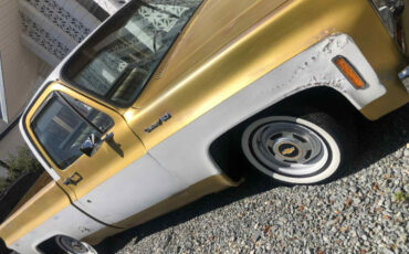 Chevrolet-C-10-1976-Standard-Cab-Pickup-3