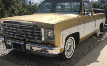 Chevrolet-C-10-1976-Standard-Cab-Pickup