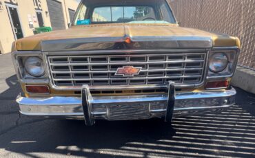 Chevrolet-C-10-1976-Standard-Cab-Pickup-9