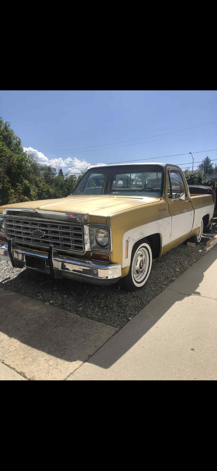 Chevrolet C-10 1976 Standard Cab Pickup