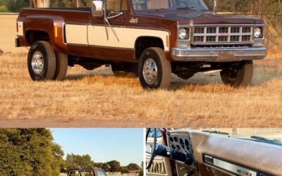 Chevrolet C-10 1979