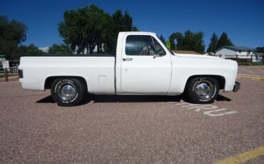 Chevrolet-C-10-1979-Standard-Cab-Pickup-1
