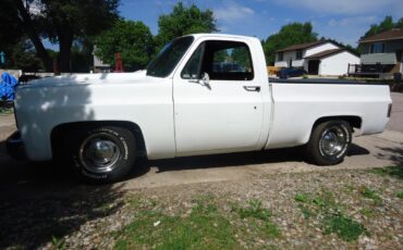 Chevrolet-C-10-1979-Standard-Cab-Pickup-10