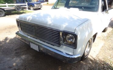 Chevrolet-C-10-1979-Standard-Cab-Pickup-11