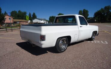 Chevrolet-C-10-1979-Standard-Cab-Pickup-2