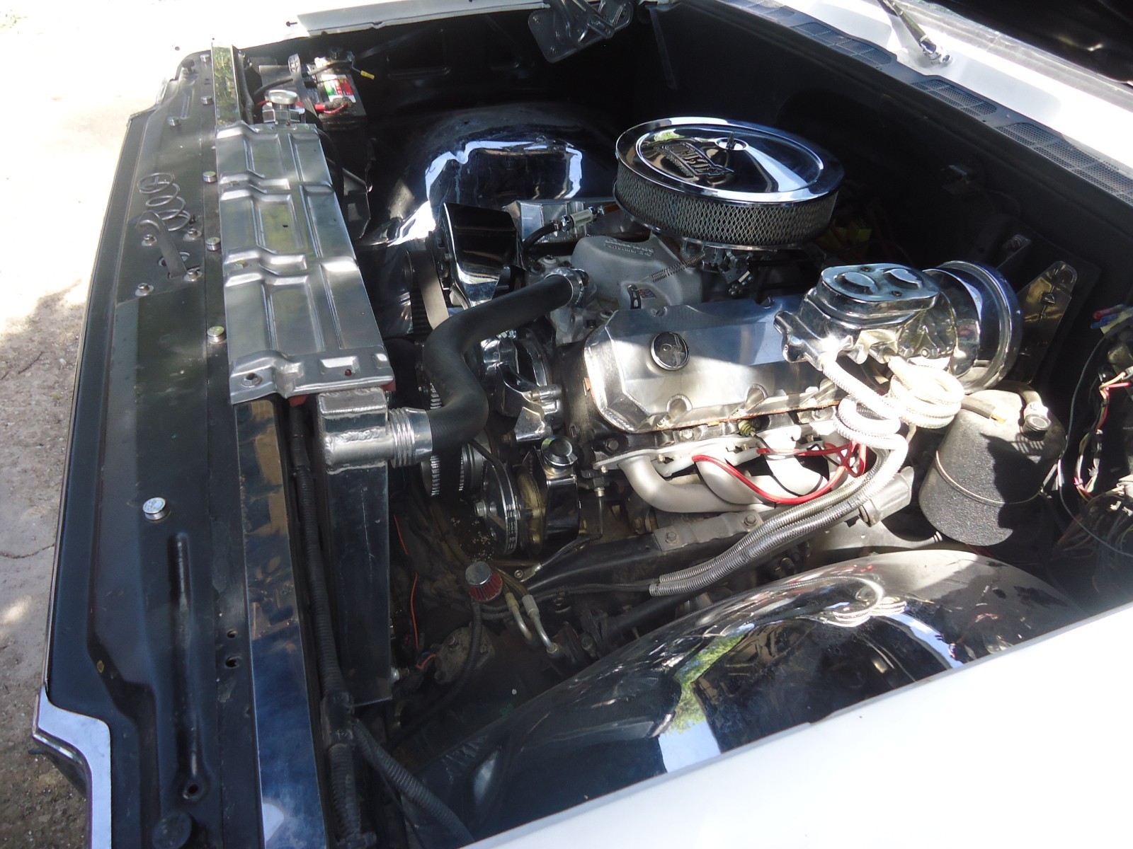 Chevrolet-C-10-1979-Standard-Cab-Pickup-20