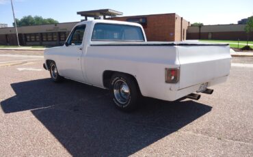 Chevrolet-C-10-1979-Standard-Cab-Pickup-3