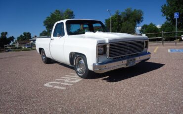 Chevrolet-C-10-1979-Standard-Cab-Pickup