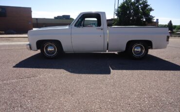 Chevrolet-C-10-1979-Standard-Cab-Pickup-4