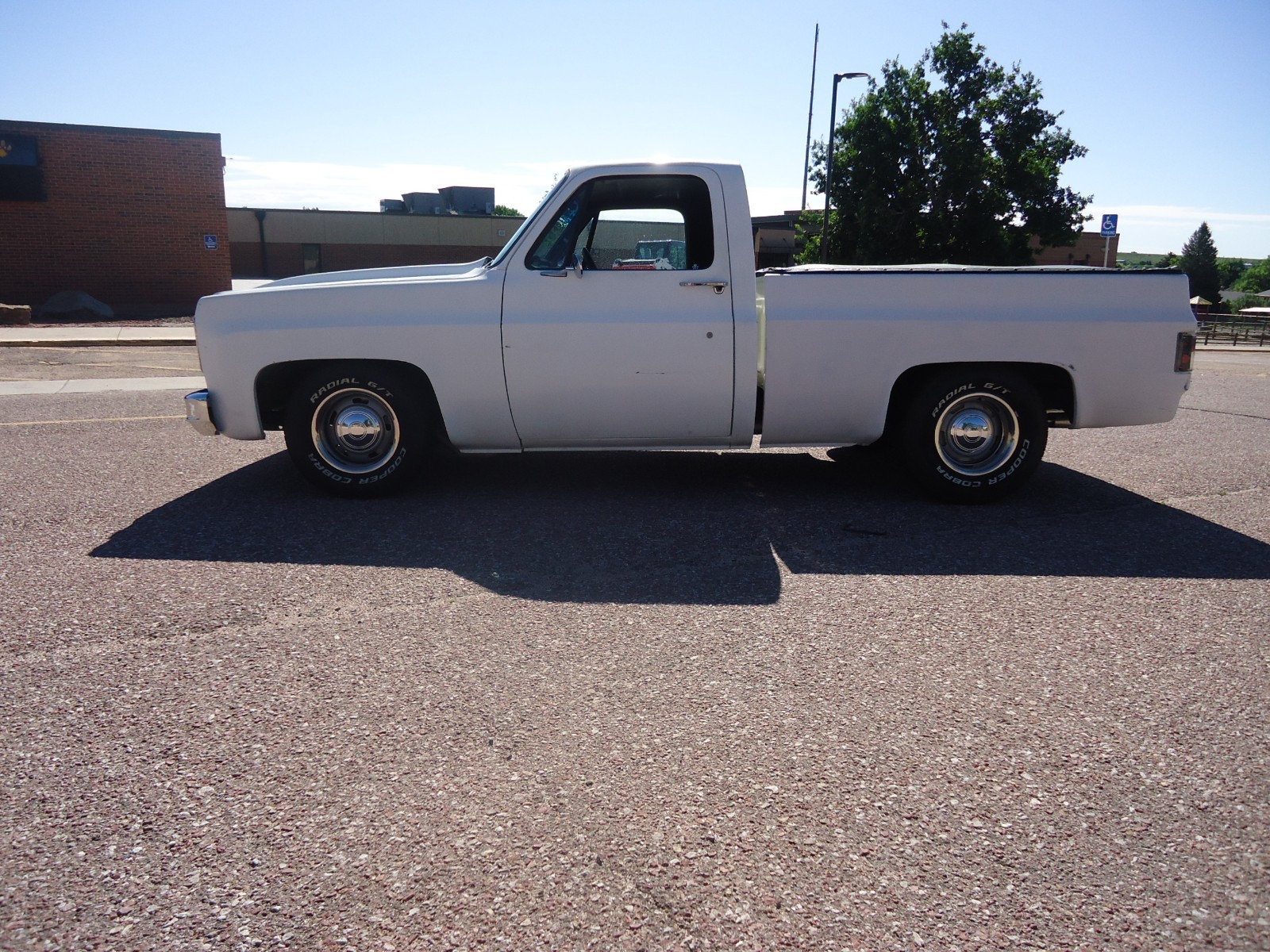 Chevrolet-C-10-1979-Standard-Cab-Pickup-4