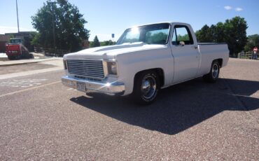 Chevrolet-C-10-1979-Standard-Cab-Pickup-5