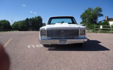 Chevrolet-C-10-1979-Standard-Cab-Pickup-6