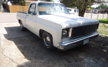 Chevrolet-C-10-1979-Standard-Cab-Pickup-7