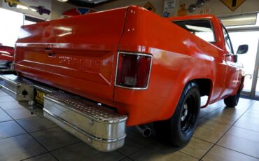 Chevrolet-C-10-1981-Classic-Car-16