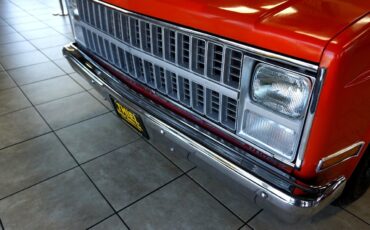 Chevrolet-C-10-1981-Classic-Car-17
