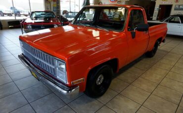 Chevrolet-C-10-1981-Classic-Car-2