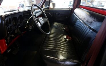 Chevrolet-C-10-1981-Classic-Car-20