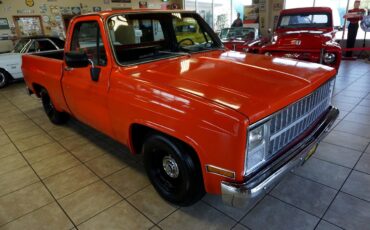 Chevrolet-C-10-1981-Classic-Car-9