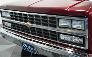 Chevrolet-C-10-1981-Pickup-Truck-17