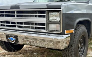 Chevrolet-C-10-1983-2