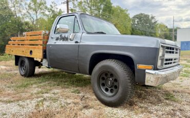 Chevrolet-C-10-1983-4